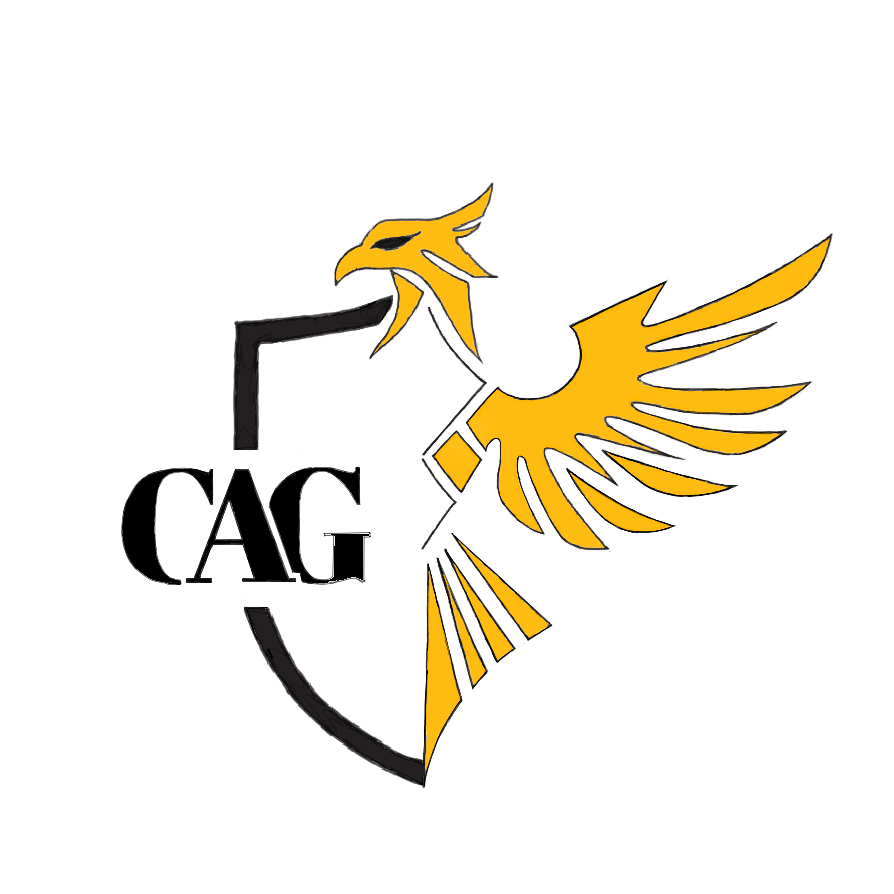 Critical Applications Group, LLC